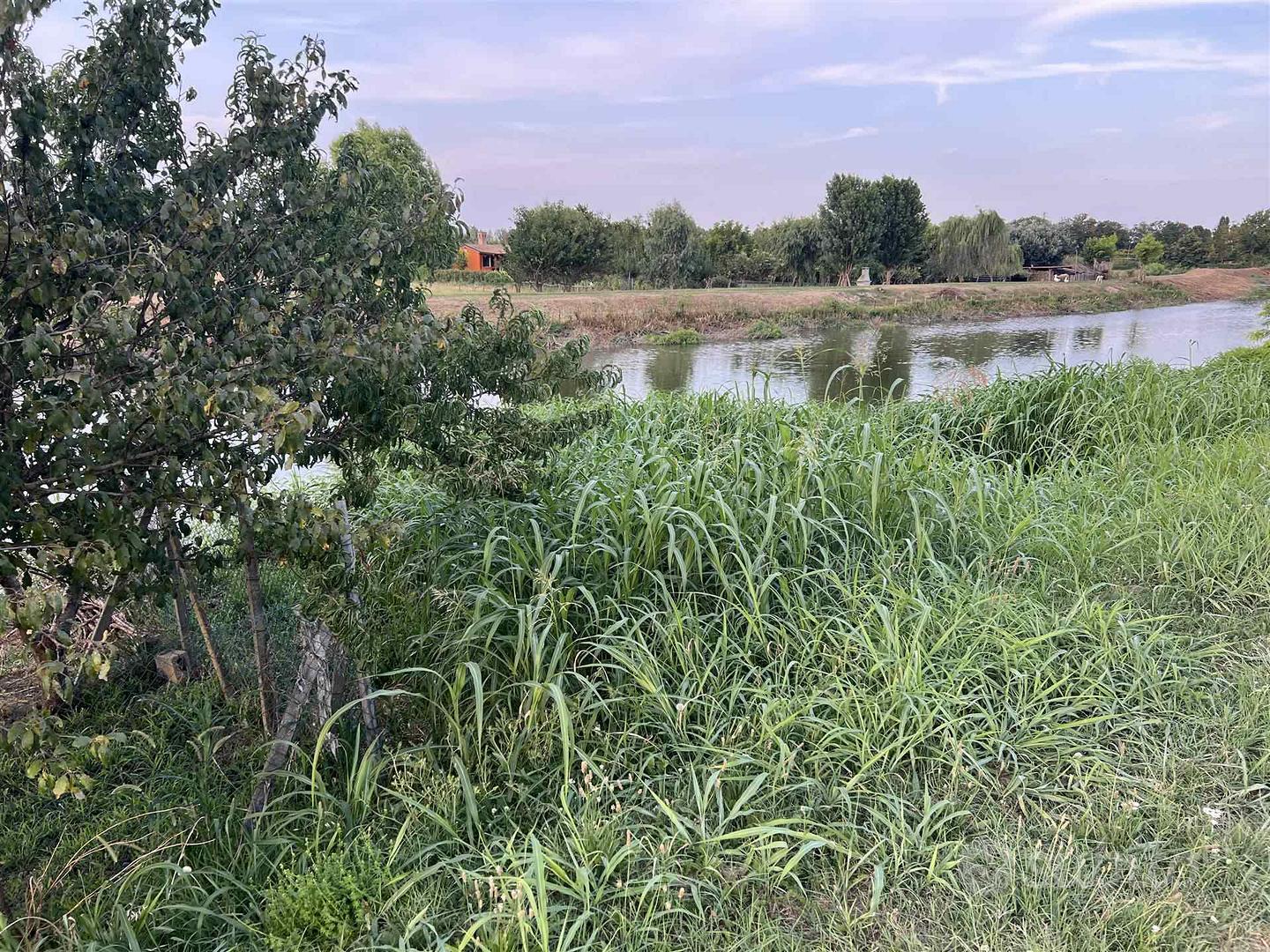 Rif.B392| terreno agricolo chioggia - Vista 3