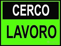 Ragazza di 31 anni Commessa / Segretaria