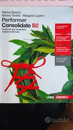 PERFORMER CONSOLIDATE  B2