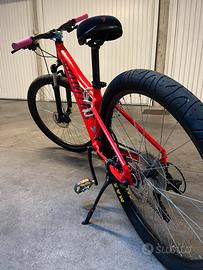 Bicicletta specialized