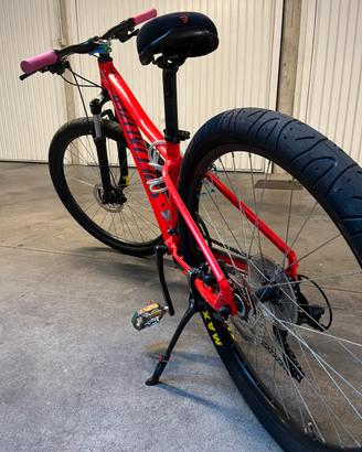 Bicicletta specialized