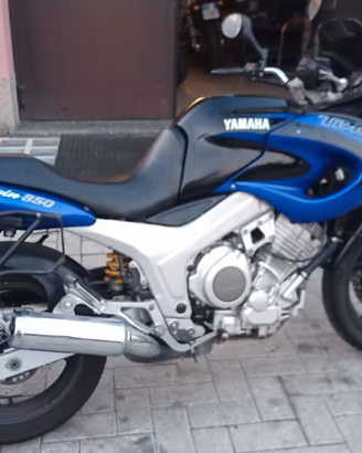 Tdm 850