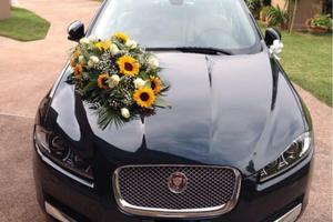 Jaguar XF 2.2L T4D Diesel Land Rover Limited