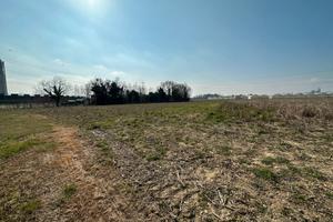 SPINEA Terreno Agricolo di circa 17.239MQ