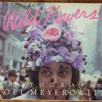 Libri Riviste Fotografia e Cinema