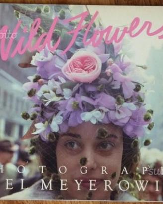 Libri Riviste Fotografia e Cinema