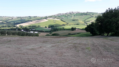 Montegranaro terreno edificabile