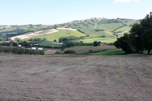 Montegranaro terreno edificabile