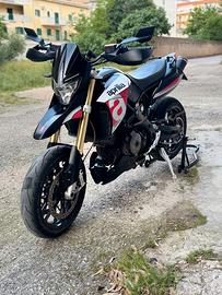Dorsoduro 750