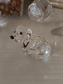 swarovski cane san bernardo