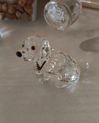 swarovski cane san bernardo