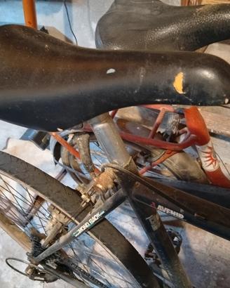 bici uomo