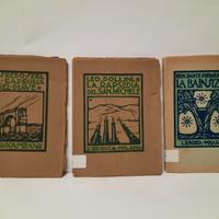 La Rapsodia del Piave-del S. Michele-la Bainsizza