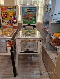 Flipper rigenerato a nuovo