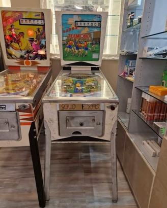 Flipper rigenerato a nuovo
