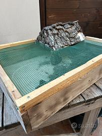 Terrario per tartarughe