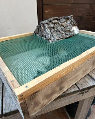 Terrario per tartarughe