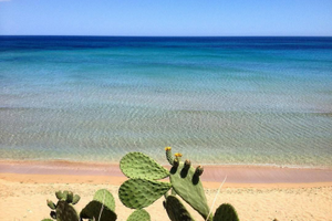FRONTE SPIAGGIA - con Piscina