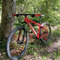 SPECIALIZED ROCKHOPPER 29" L