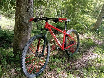 SPECIALIZED ROCKHOPPER 29" L