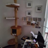 ALBERO TIRAGRAFFI GATTI ALTO CIRCA 2 METRI