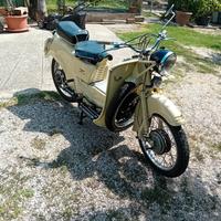 moyo guzzi 