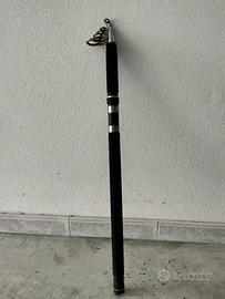 Canna da pesca bolognese 