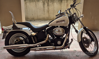 Harley davidson softail nigth train