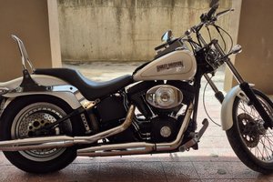 Harley davidson softail nigth train