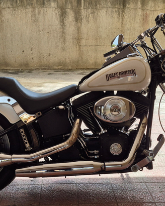 Harley davidson softail nigth train