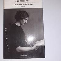 Il dolore perfetto