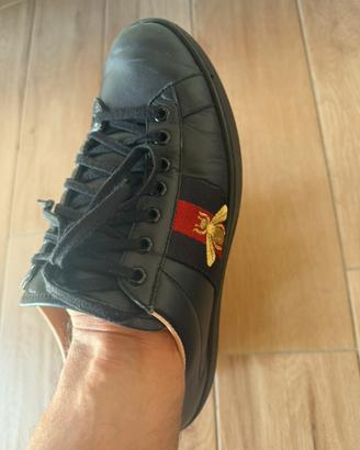 Gucci ace