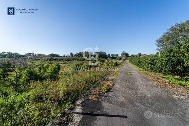 Terreno agricolo - Acireale