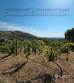 Terreno agricolo vigneto e uliveto a Calatabiano