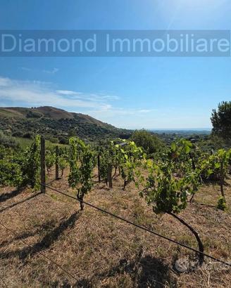Terreno agricolo vigneto e uliveto a Calatabiano