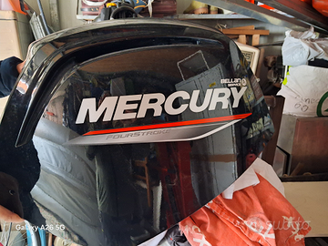 Mercury 115