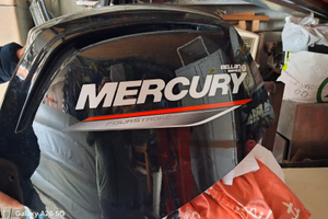 Mercury 115