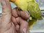Immagine 3