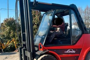 S117 - Muletto Linde H80