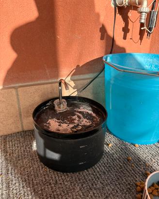 Fontana per Gatto