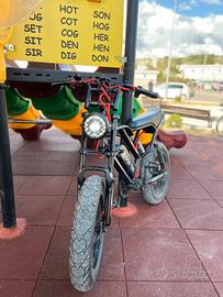 bici elettrica 1000 watt