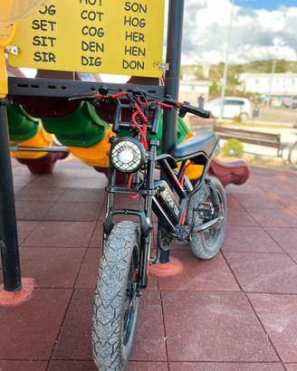 bici elettrica 1000 watt