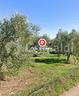 terreno-residenziale-trani-cod-rif-3316886vrg-