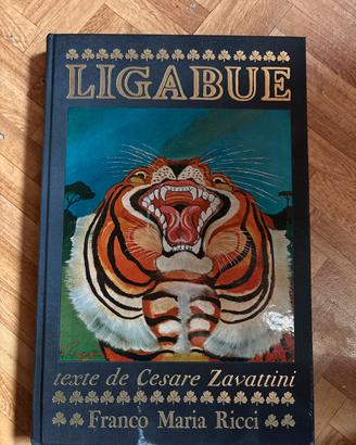 Libro