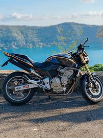 Honda hornet