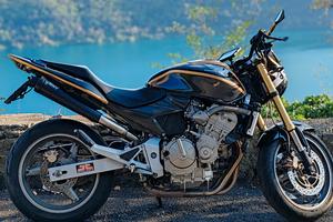 Honda hornet