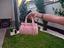Immagine 5