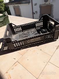 Cassette agricole raccolta