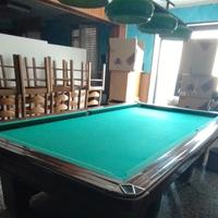 Biliardo professionale 