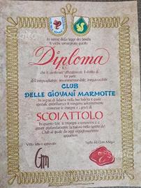 Diploma club Giovani Marmotte - grado Scoiattolo